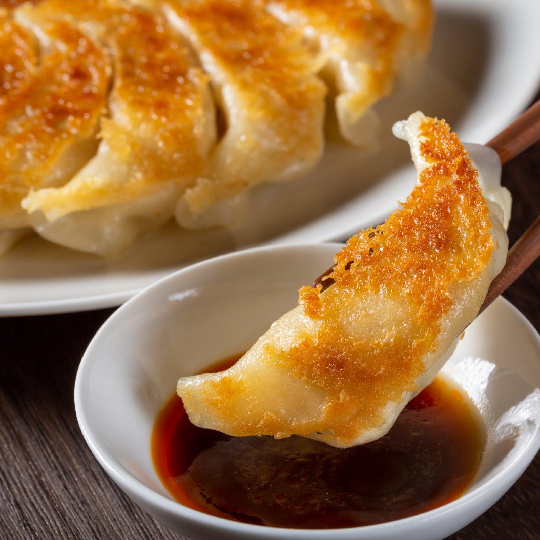 Gyoza Dumpling Cooking Class Sunshine Coast