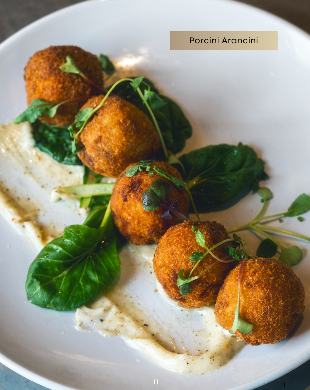 Italian Quickies Cookbook by Chef Mel Alafaci the Happy Chef Vanilla Zulu ebook digital cookbook series arancini 